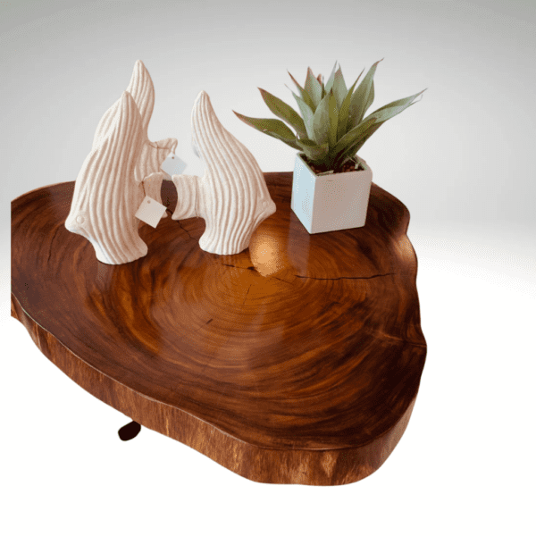 Orbita Dining Collection